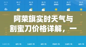 阿荣旗实时天气与割蜜刀价格详解，一篇文章带你全面了解