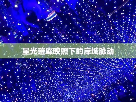 星光璀璨映照下的岸城脉动