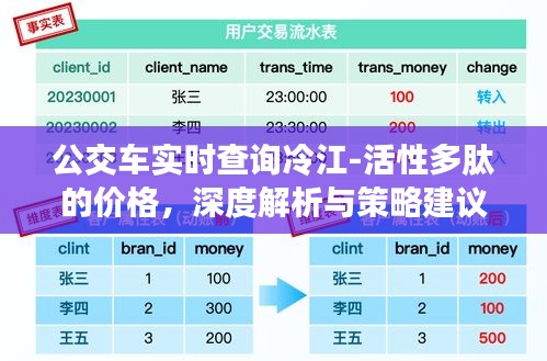 公交车实时查询冷江-活性多肽的价格,深度解析与策略建议