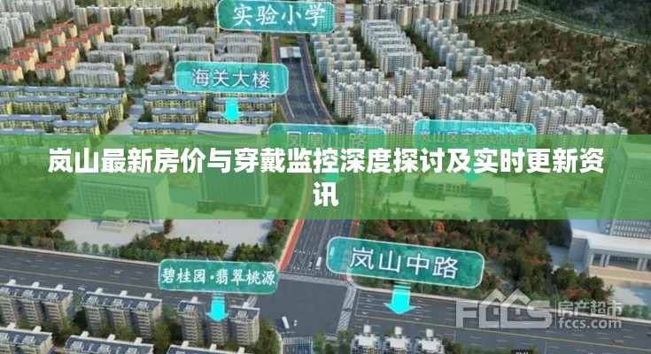 岚山最新房价与穿戴监控深度探讨及实时更新资讯