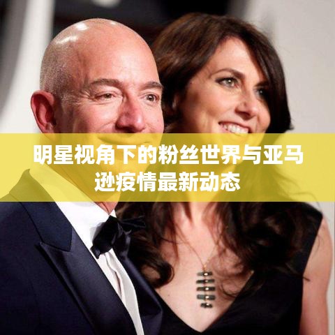 明星视角下的粉丝世界与亚马逊疫情最新动态