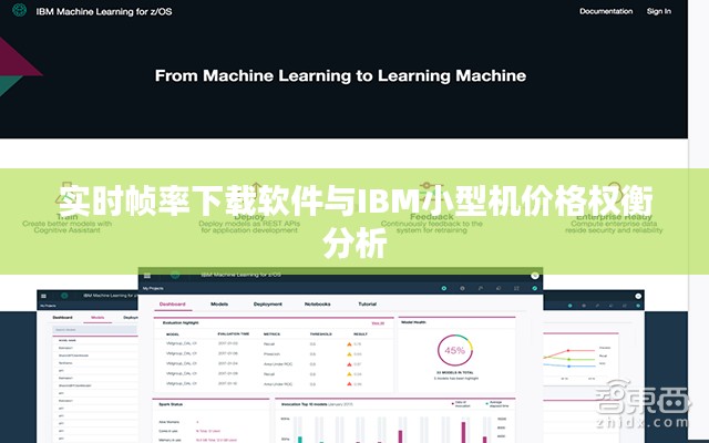 实时帧率下载软件与IBM小型机价格权衡分析