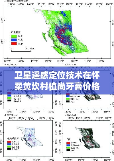 卫星遥感定位技术在怀柔黄坎村植尚牙膏价格研究中的应用探讨