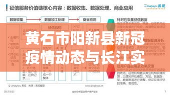 黄石市阳新县新冠疫情动态与长江实时水位联合分析报告