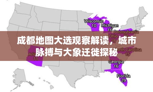 成都地图大选观察解读，城市脉搏与大象迁徙探秘