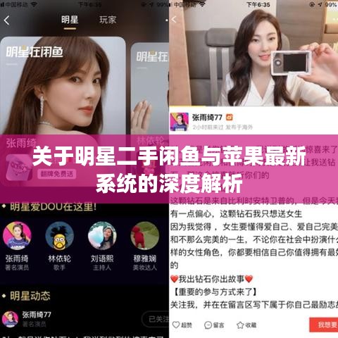 关于明星二手闲鱼与苹果最新系统的深度解析