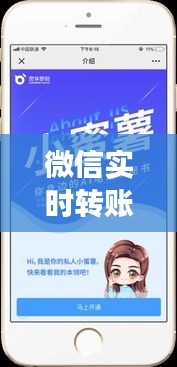 微信实时转账揭秘，小蜜坊价格动态同步观察