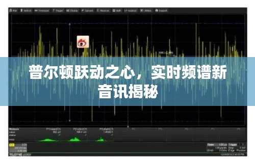普尔顿跃动之心，实时频谱新音讯揭秘