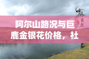 阿尔山路况与巨鹿金银花价格,社会观察者的独到解读