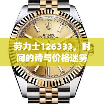 劳力士126333,时间的诗与价格迷雾