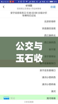 公交与玉石收藏,一站式App满足出行与收藏需求