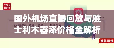 国外机场直播回放与雅士利木器漆价格全解析