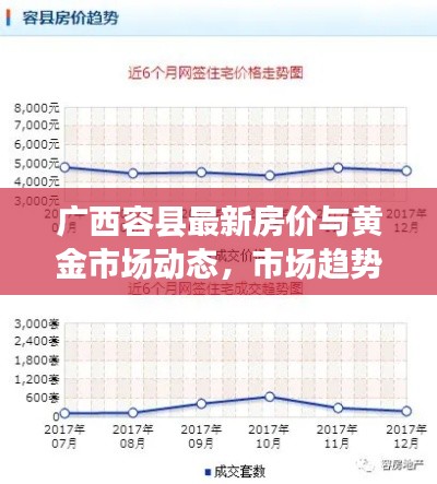 广西容县最新房价与黄金市场动态,市场趋势、产品亮点及未来展望