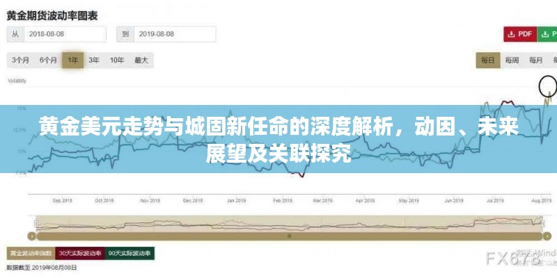 黄金美元走势与城固新任命的深度解析,动因、未来展望及关联探究
