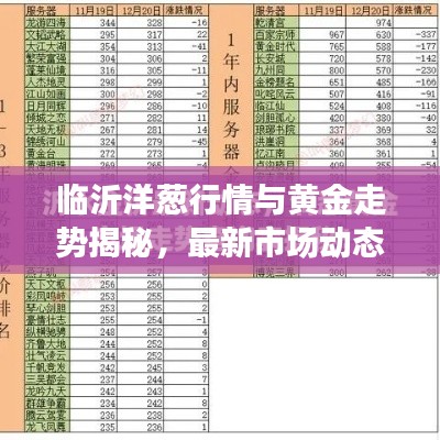 临沂洋葱行情与黄金走势揭秘，最新市场动态关注指南！