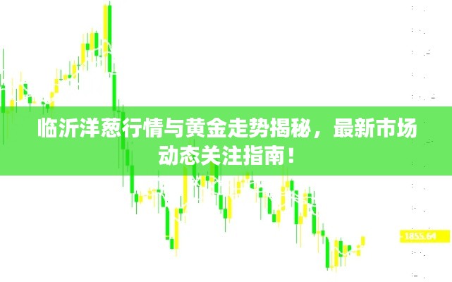 临沂洋葱行情与黄金走势揭秘,最新市场动态关注指南!