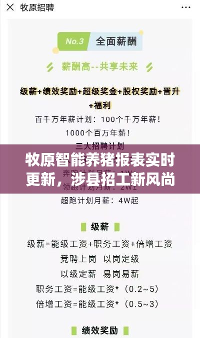 牧原智能养猪报表实时更新，涉县招工新风尚，挑战养猪行业新高度！
