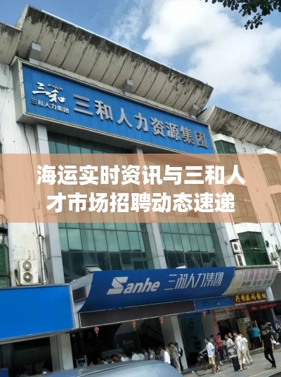 海运实时资讯与三和人才市场招聘动态速递