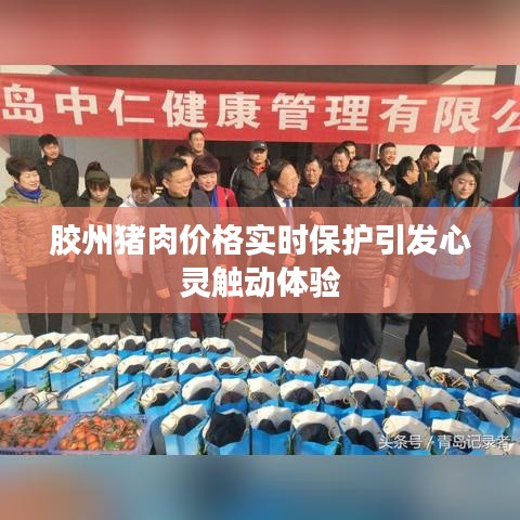 胶州猪肉价格实时保护引发心灵触动体验