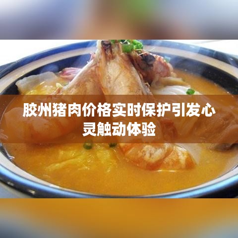 胶州猪肉价格实时保护引发心灵触动体验