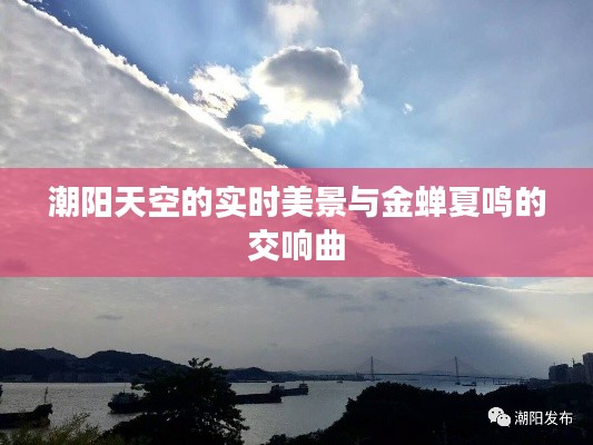 潮阳天空的实时美景与金蝉夏鸣的交响曲