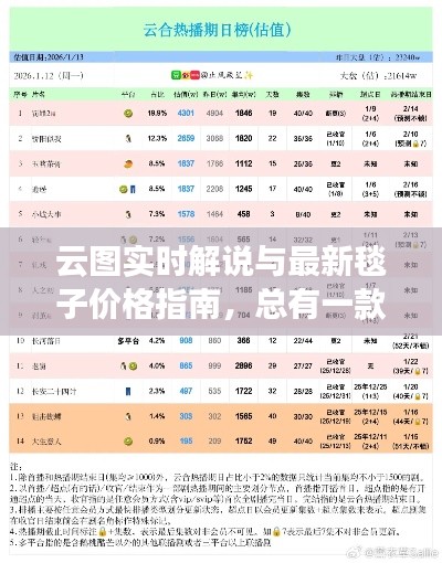 云图实时解说与最新毯子价格指南，总有一款满足您！