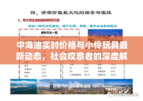 中海油实时价格与小伶玩具最新动态,社会观察者的深度解读