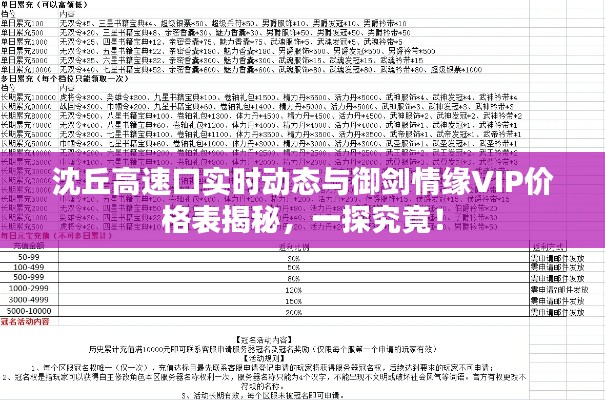 沈丘高速口实时动态与御剑情缘VIP价格表揭秘,一探究竟!