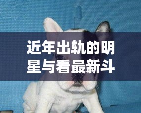 近年出轨的明星与看最新斗牛——深度解析与警示