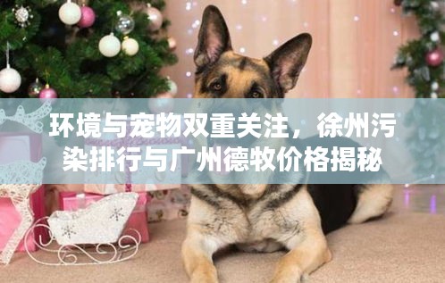 环境与宠物双重关注,徐州污染排行与广州德牧价格揭秘