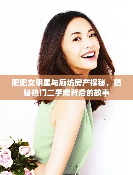 肥肥女明星与廊坊房产探秘,揭秘热门二手房背后的故事