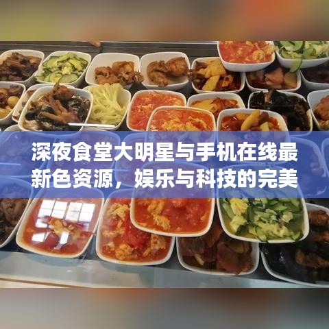 深夜食堂大明星与手机在线最新色资源,娱乐与科技的完美交融探索