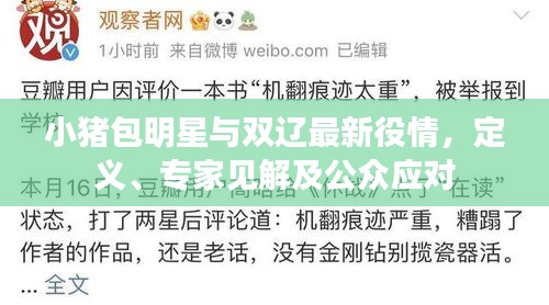 小猪包明星与双辽最新役情，定义、专家见解及公众应对