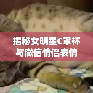 揭秘女明星C罩杯与微信情侣表情包最新版，关键词解读与防范虚假宣传