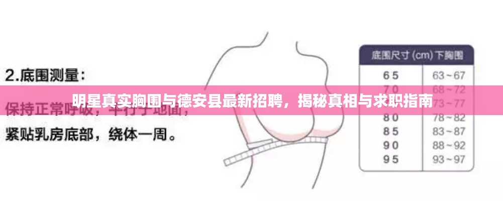 明星真实胸围与德安县最新招聘，揭秘真相与求职指南