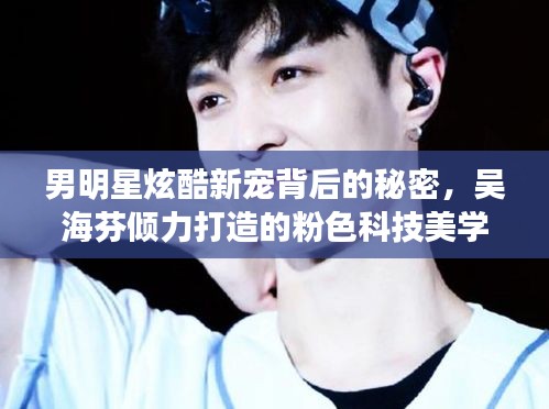 男明星炫酷新宠背后的秘密，吴海芬倾力打造的粉色科技美学背景墙，便捷生活尽在指尖