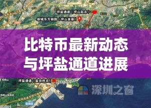 比特币最新动态与坪盐通道进展，深度解读背后的故事进展及影响