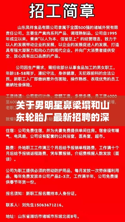 关于男明星鼻梁塌和山东轮胎厂最新招聘的深度解析