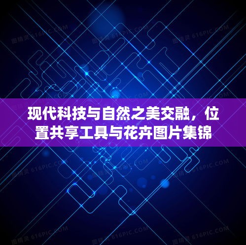 现代科技与自然之美交融，位置共享工具与花卉图片集锦