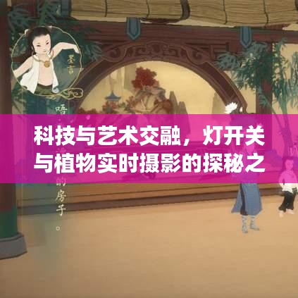 科技与艺术交融，灯开关与植物实时摄影的探秘之旅