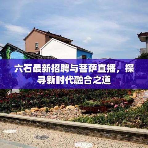 六石最新招聘与菩萨直播,探寻新时代融合之道