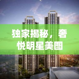 独家揭秘，奢悦明星美图与龙湖紫晋城最新资讯