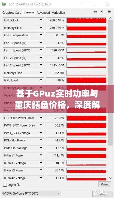 基于GPuz实时功率与重庆鳝鱼价格，深度解析与指导识别防范虚假宣传