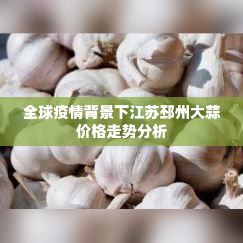 全球疫情背景下江苏邳州大蒜价格走势分析