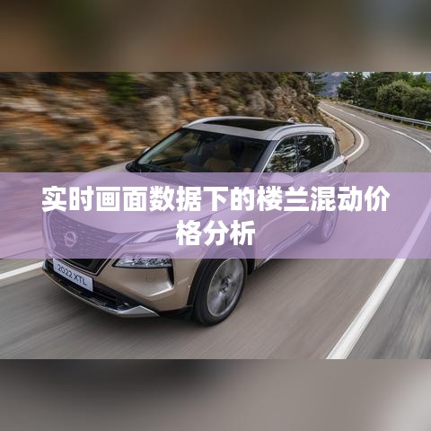 实时画面数据下的楼兰混动价格分析