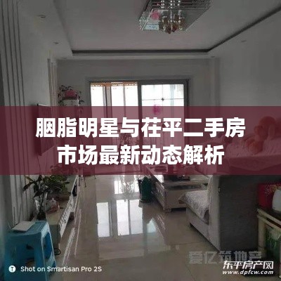 胭脂明星与茌平二手房市场最新动态解析