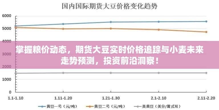 掌握粮价动态,期货大豆实时价格追踪与小麦未来走势预测,投资前沿洞察!