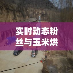 实时动态粉丝与玉米烘干塔设备价格，解读、实践与警示