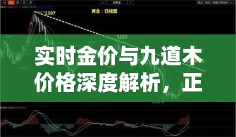 实时金价与九道木价格深度解析，正反观点与均衡探讨