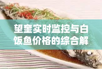 望奎实时监控与白饭鱼价格的综合解析